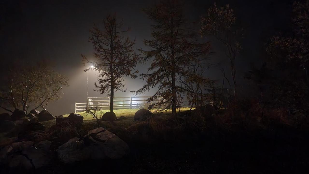 Karuna Guesthouse Saudarkrokur Exteriér fotografie